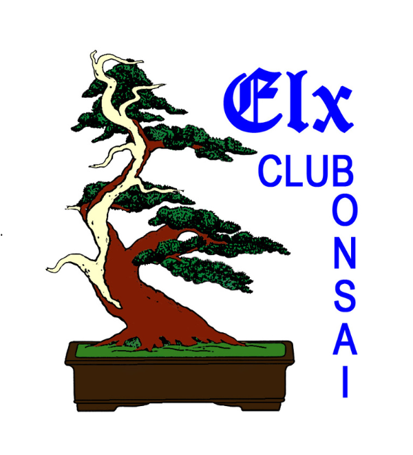 Elx Club Bonsái