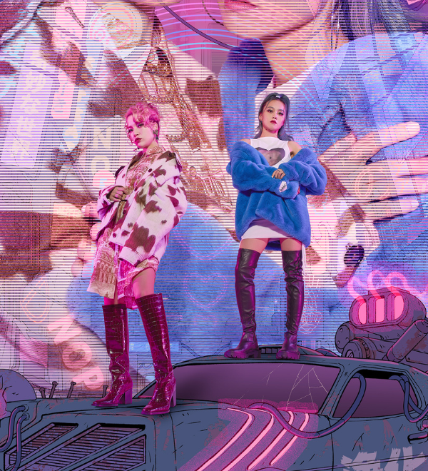 FEMM