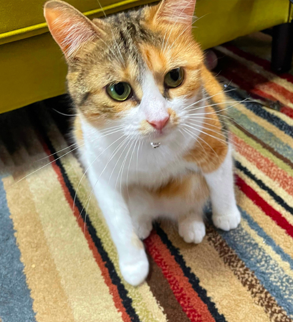 Mika